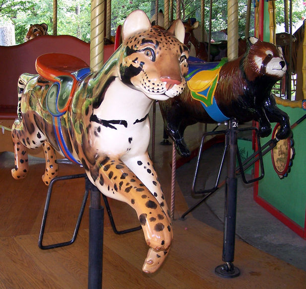 Click to display the next picture